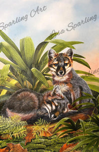 "Kit Fox" Lisa Sparling Art Giclée Reproduction