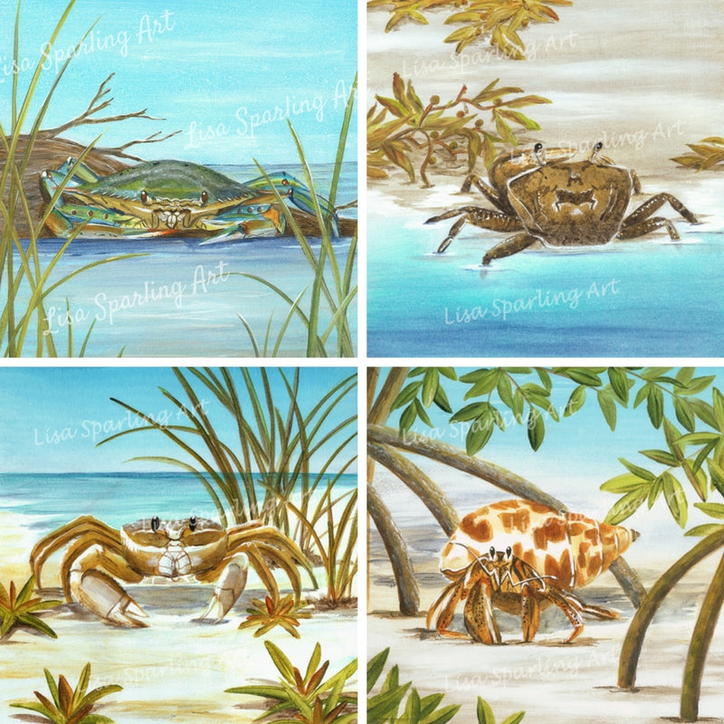 Feeling Crabby Lisa Sparling Art Giclee Reproduction Painting, crab art, coastal, ocean life, beach