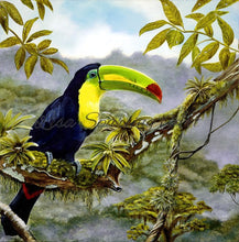 Toucan Giclée Reproduction Lisa Sparling Art painting, jungle, tropical, artwork, home decor, bird, wall art